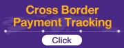 Cross Border Payment Tracking